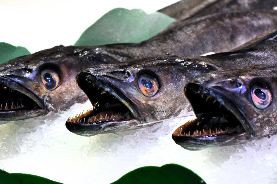 delicious Fish Market