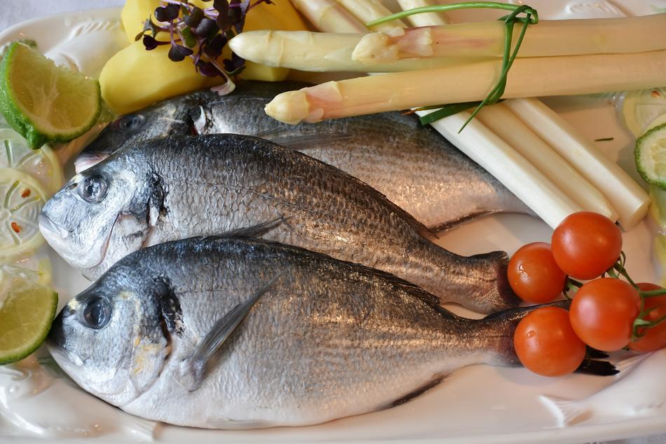 appetizing Fish Sea Bream