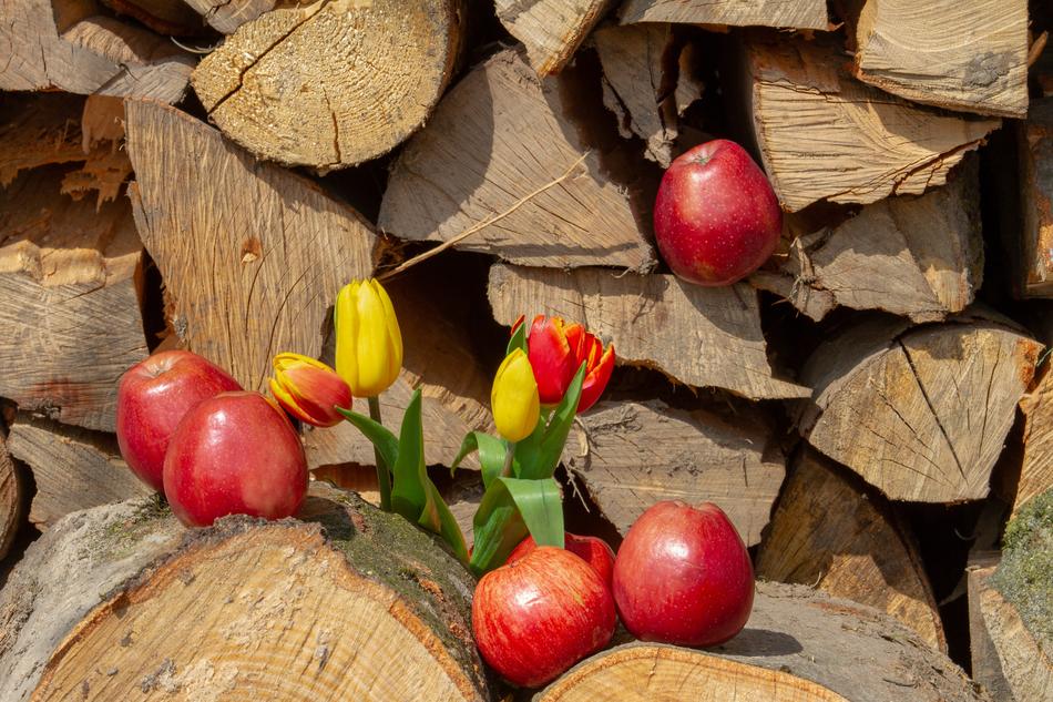 Apple and Wood and Flower