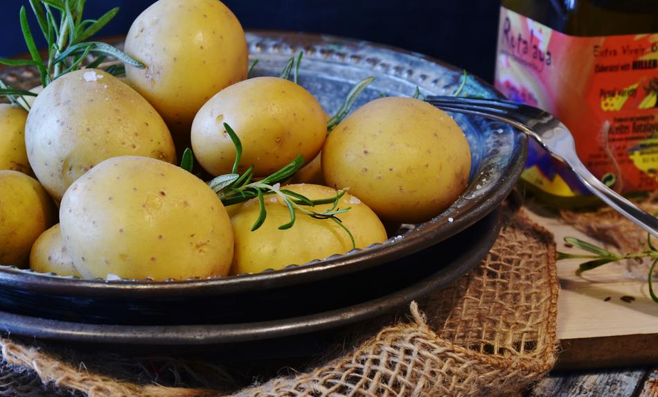 boiled Potatoes and herb