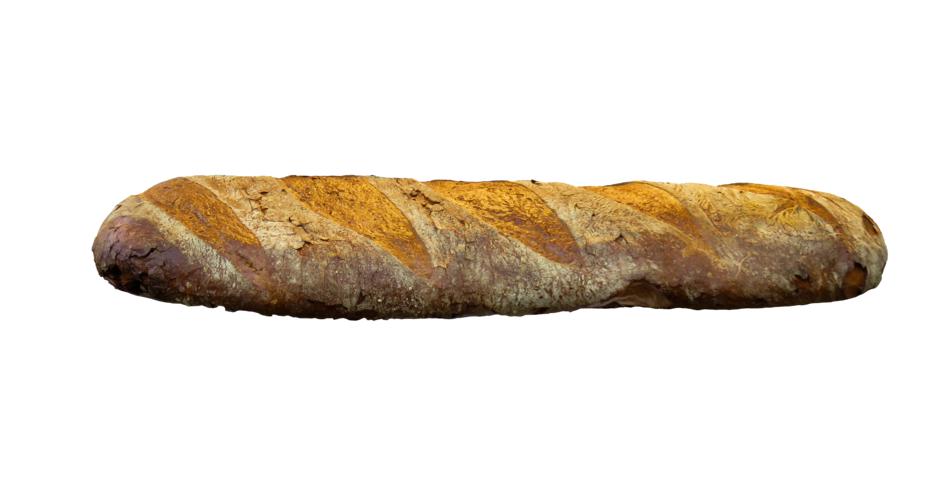 Baked bread in light at white background
