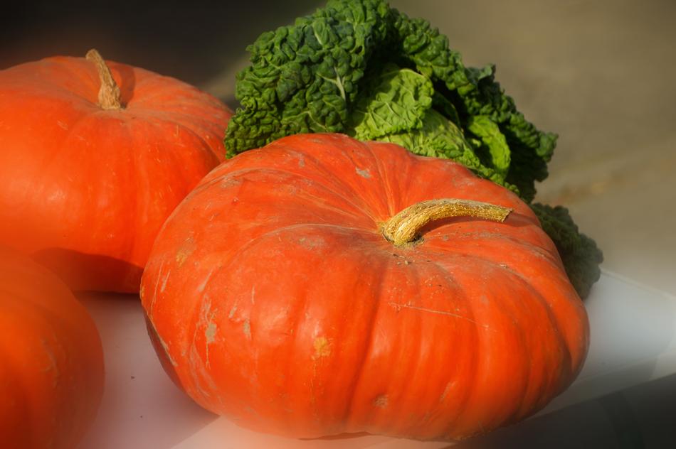 orange pumpkins and savoy cabbage