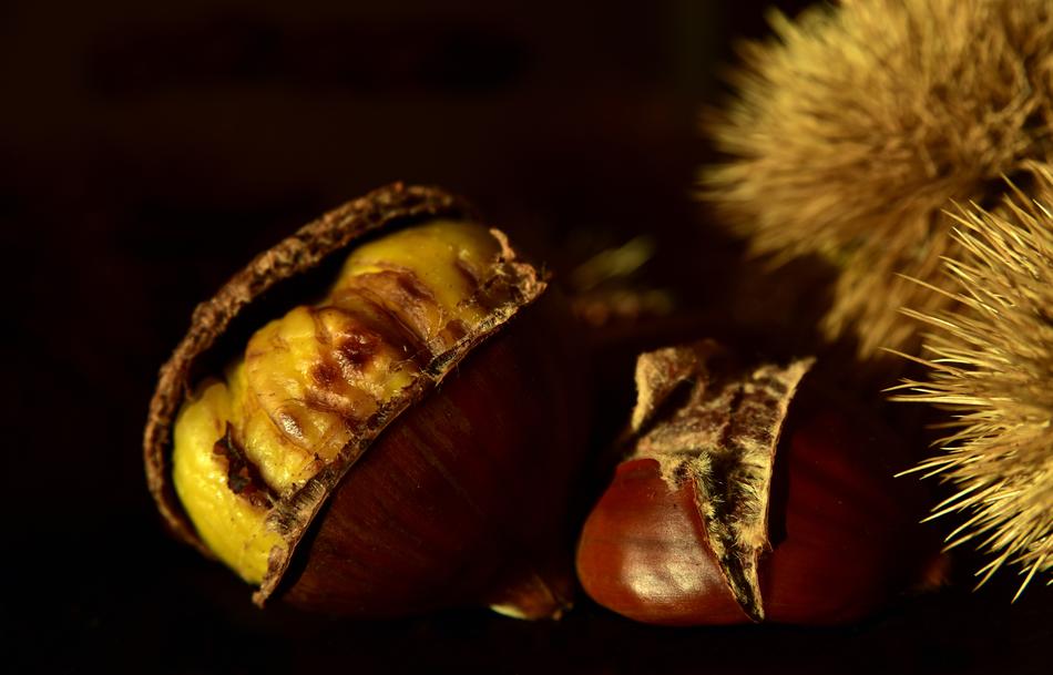 brown chestnuts on the black background