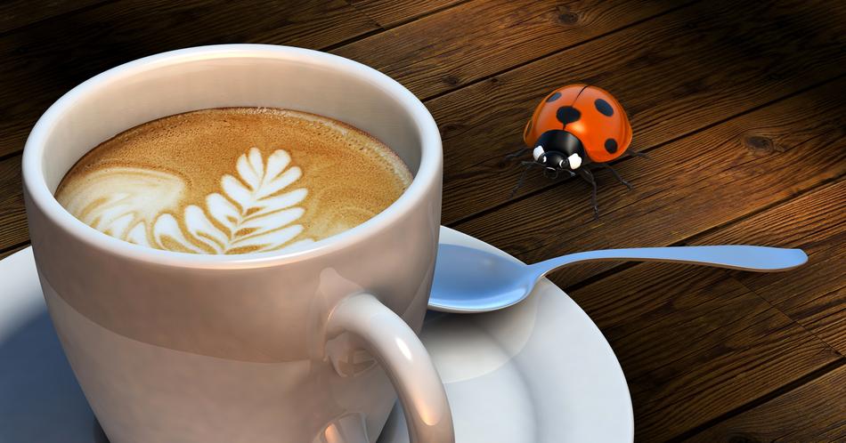 beetle and coffee cup