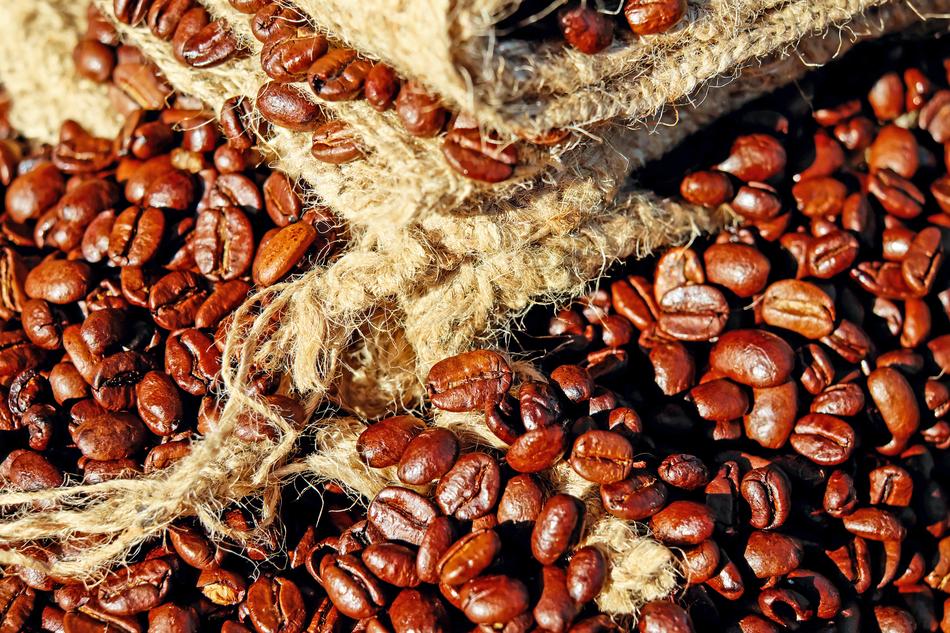 juicy Coffee Beans brown
