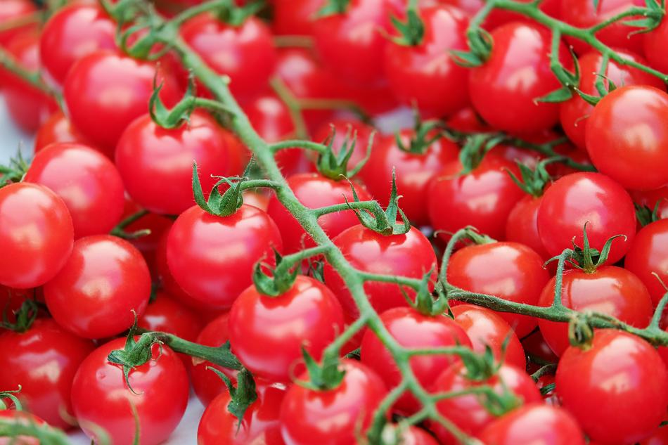 red Trusses Tomatoes