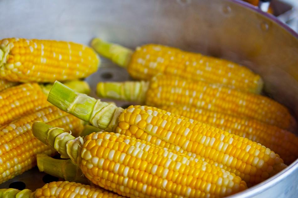 raw cobs of Popcorn in bowl