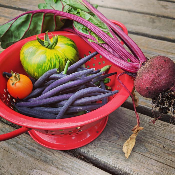 Beet, Tomato and Beans
