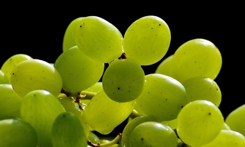 closeup photo of excellent Healthy green Grapes Fruits