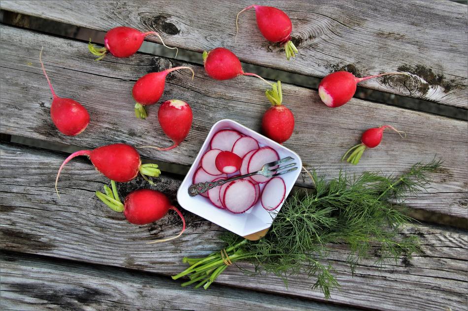 juicy Radish Dill Bio