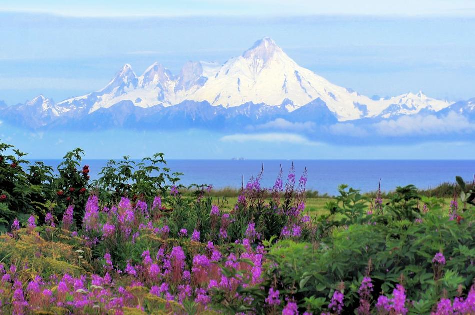 perfect Alaska