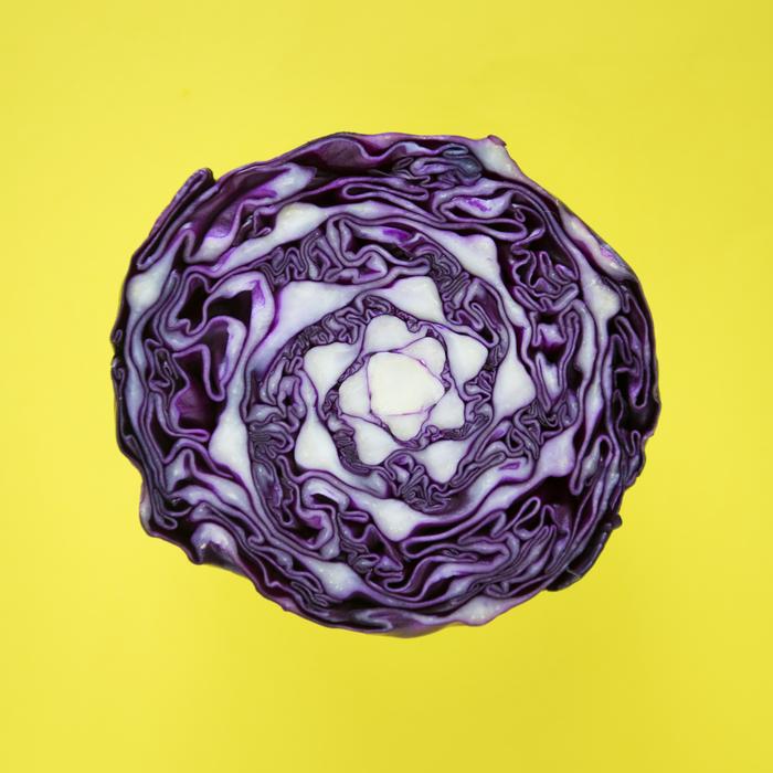 photo of purple cabbage on a yellow background