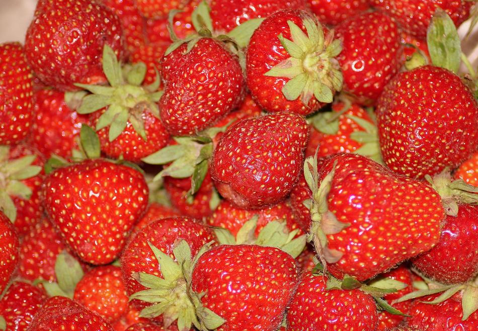 Strawberries Collection Fruit
