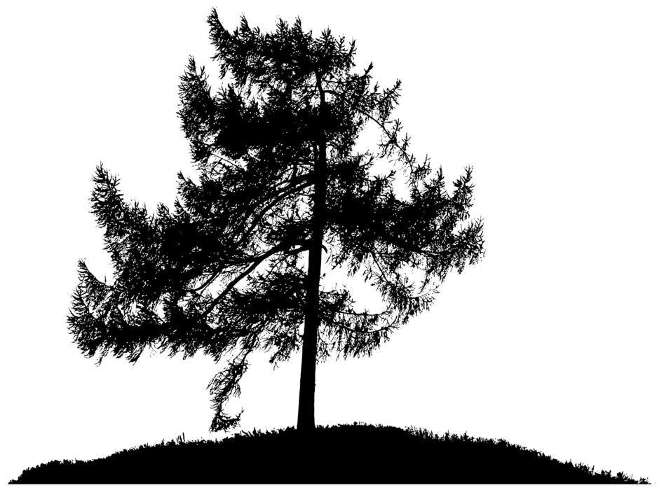 black tree landscape