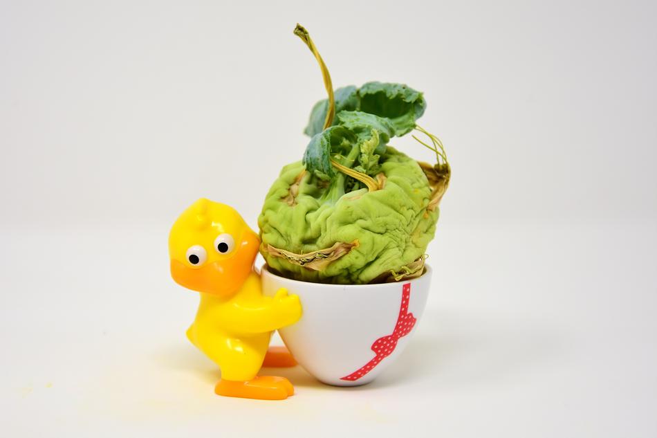 Dried Kohlrabi and yellow duck figure