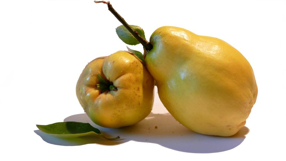 Quince Pear-Quince