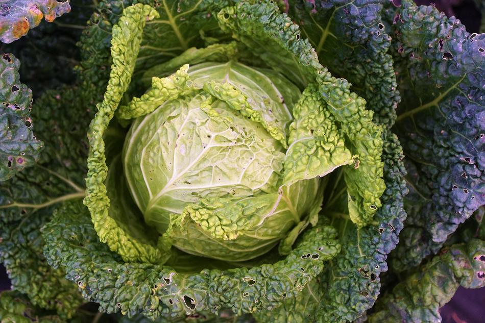 perfect Kohl Green Vegan