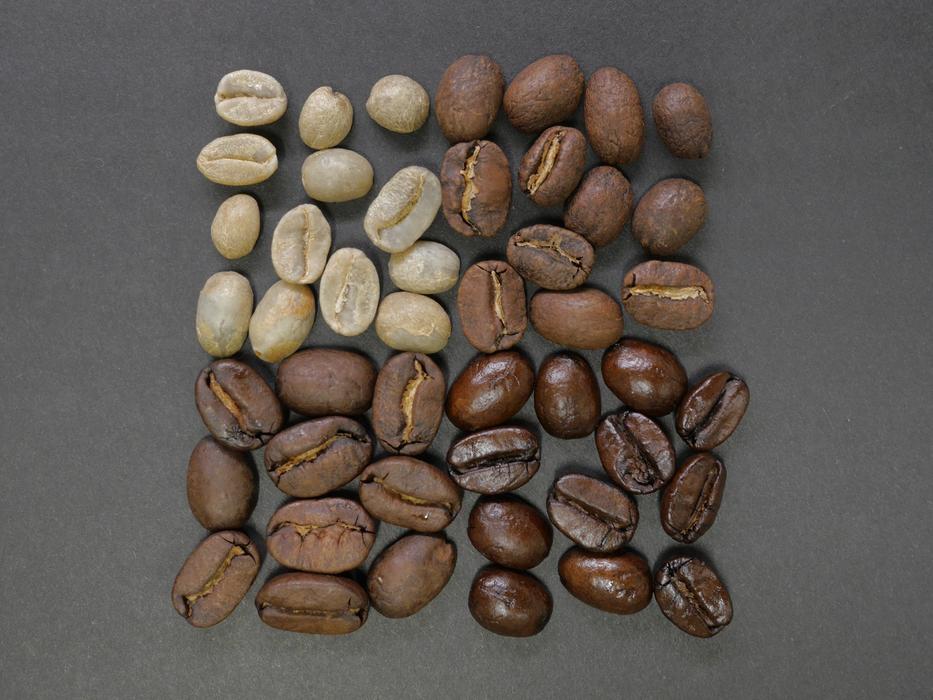 Coffee Beans Square