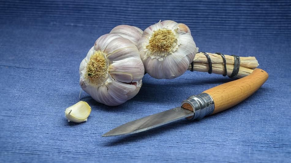Garlic and knife