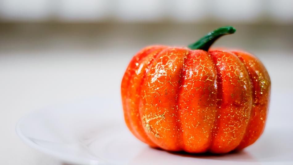 Pumpkin Food small