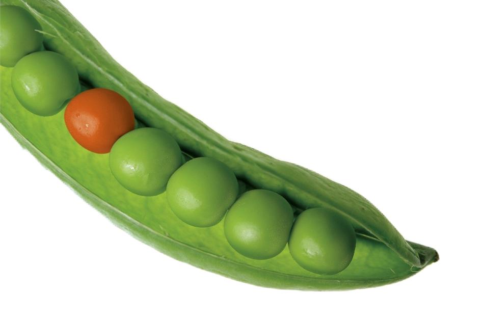 green peas and one orange in the pod