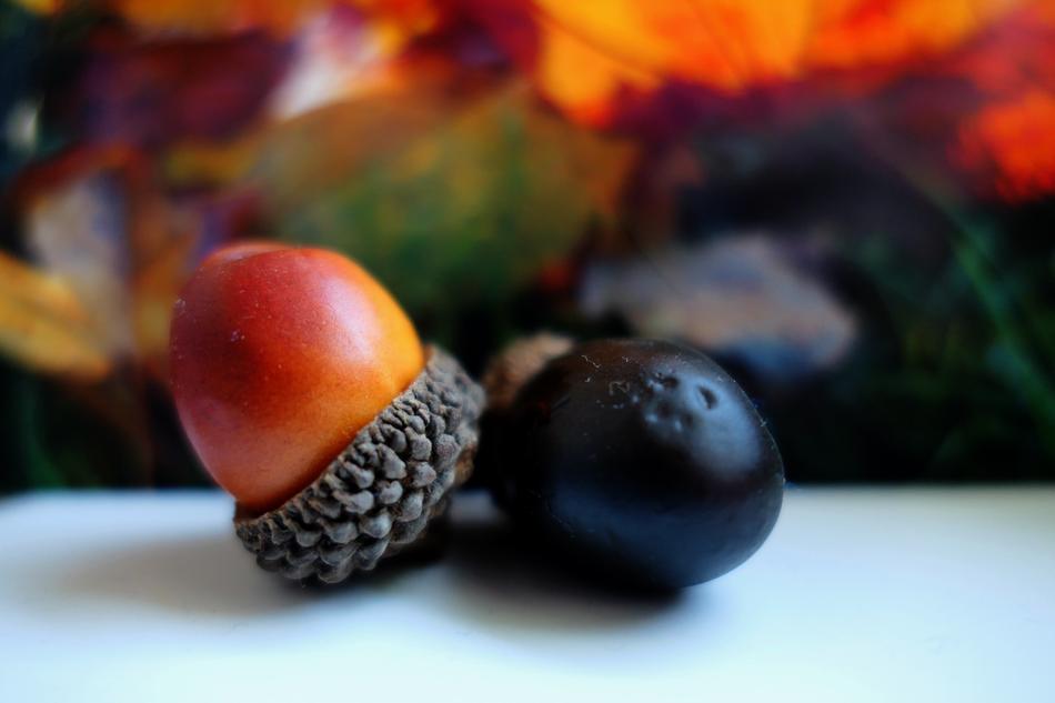 Decoration Herbstdeko