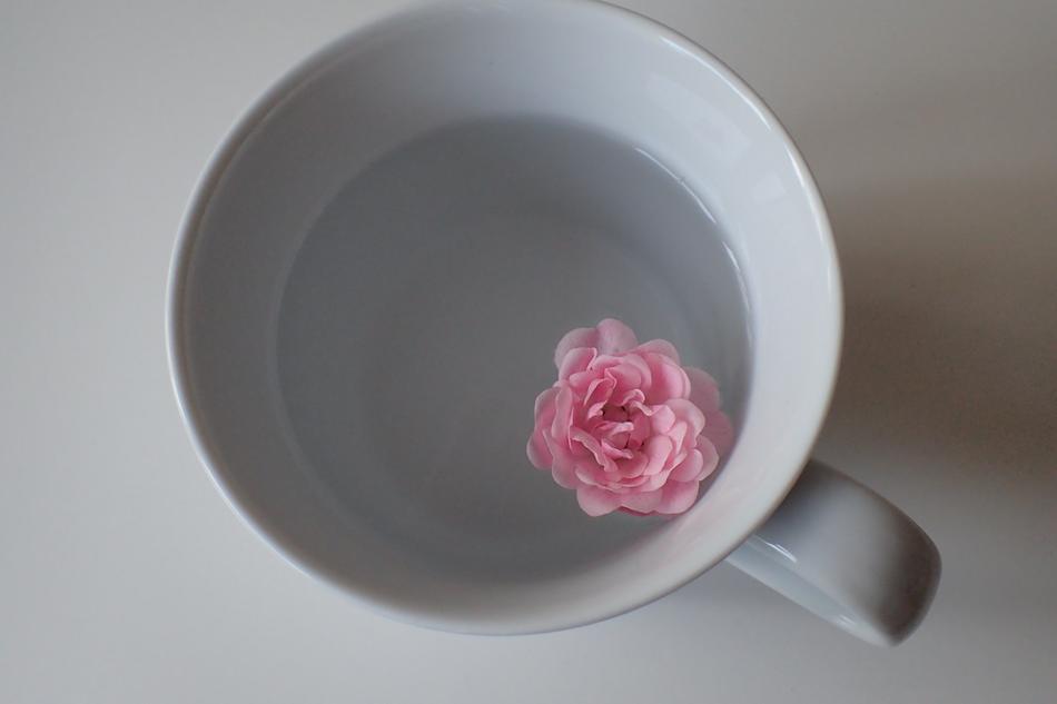 Cup Pink flower