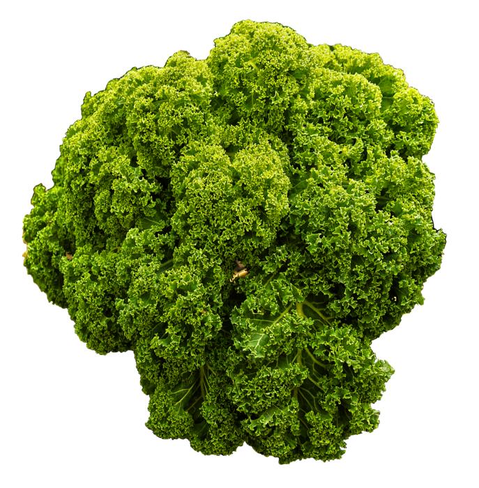 green Kal Cabbage vegetables