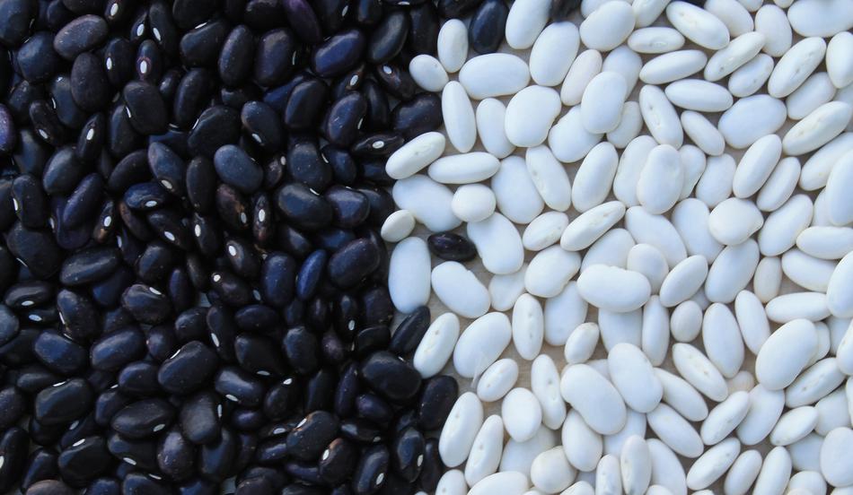 black and white beans, close-up
