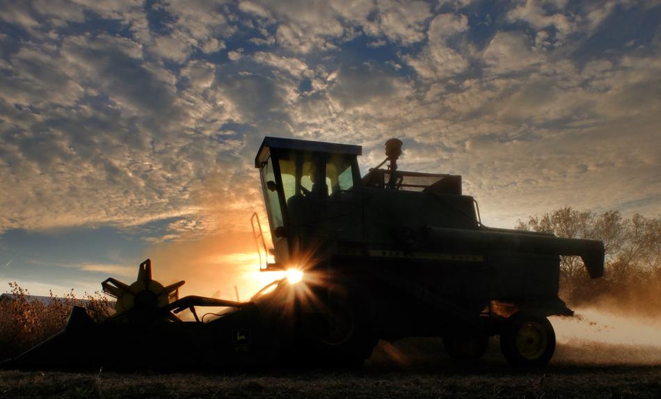 Combine Harvest Sunset