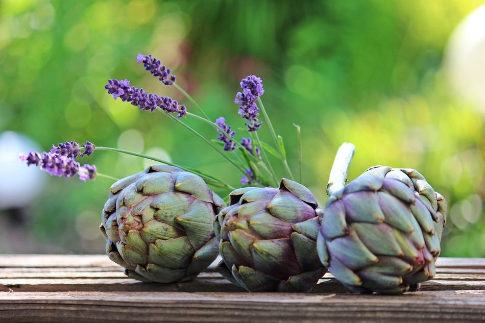 Artichokes and Lavender