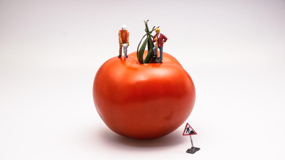 Tomato road works figurines