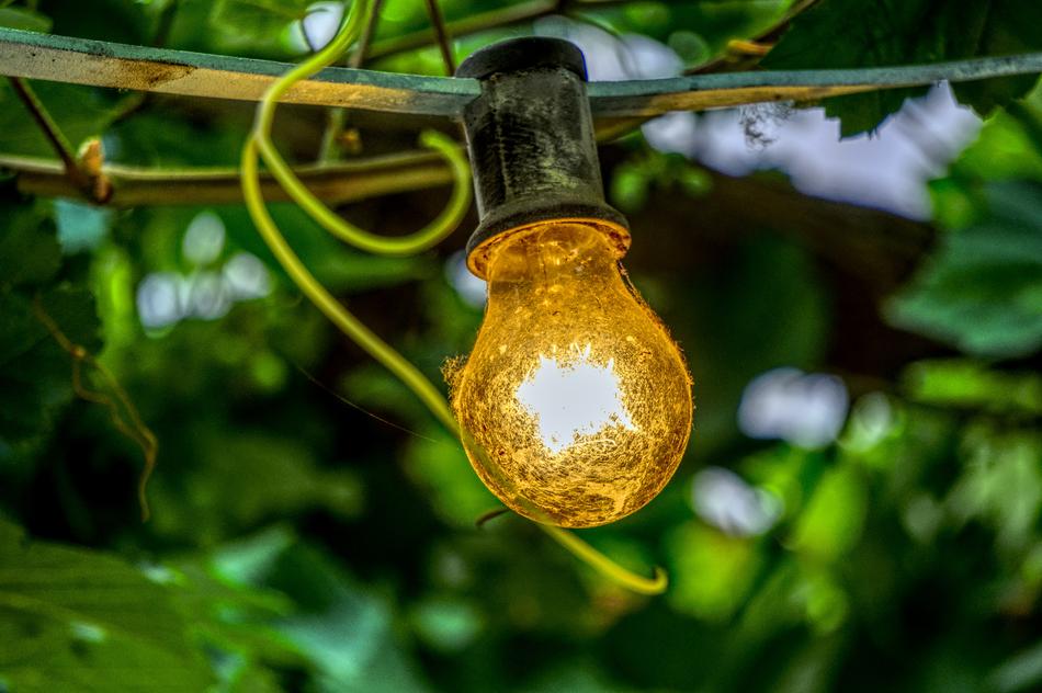 yellow light bulb in the garden close-up on a blurred background