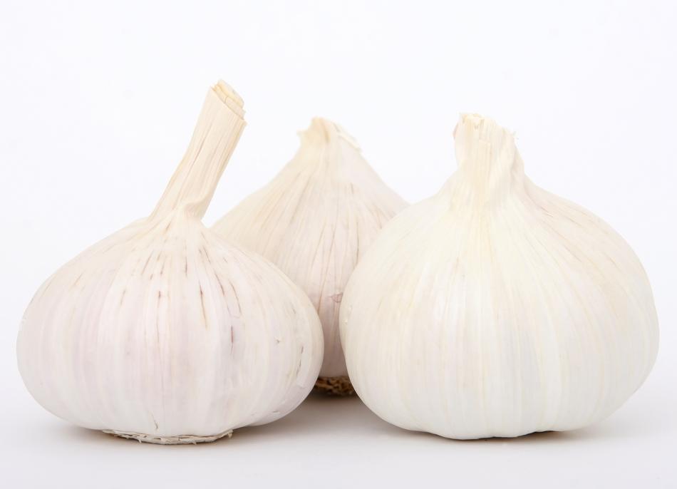 garlic in white