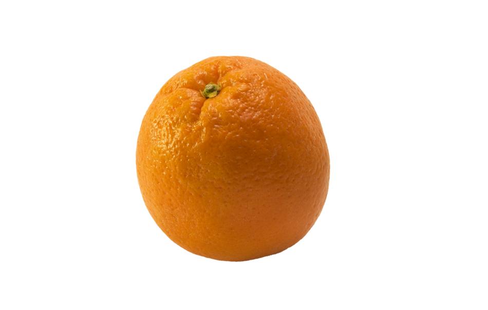 round orange on white background