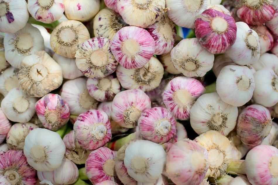 Beautiful and colorful, fresh garlic at the farmer's market