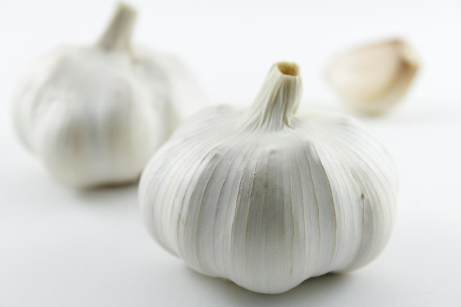 Garlic close-up on blurred background