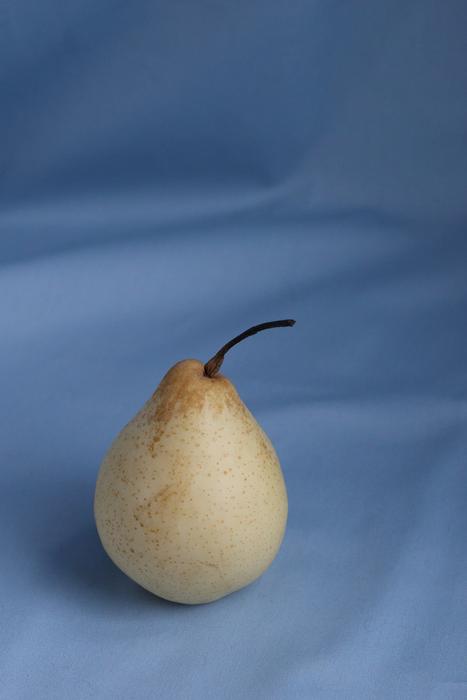 white pear on a blue background
