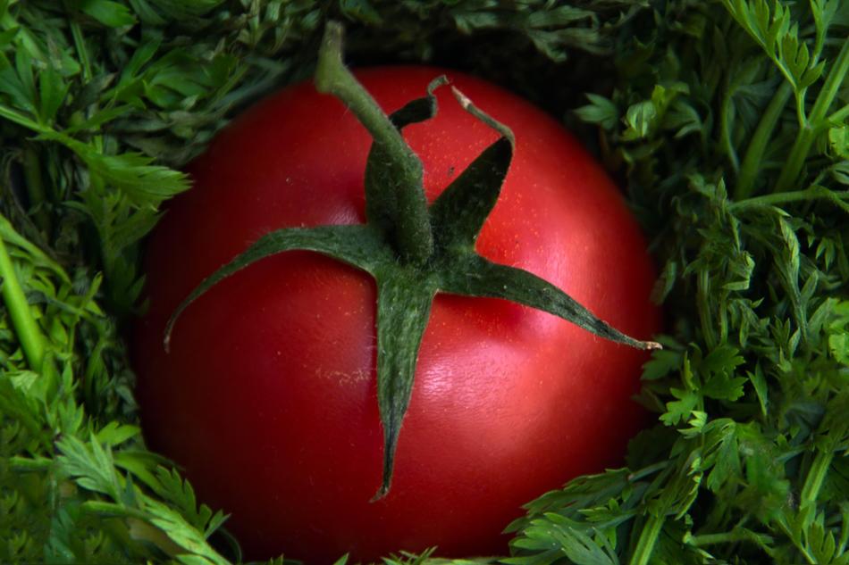 Red Tomato Vegetables and parsley