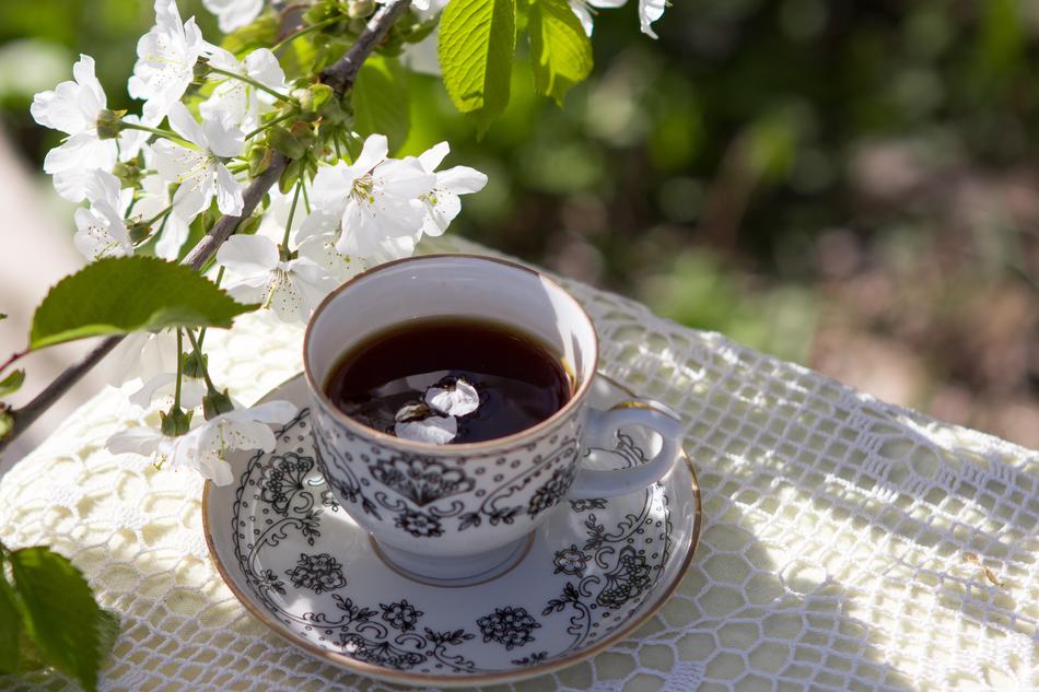 cup of coffee in the spring garden