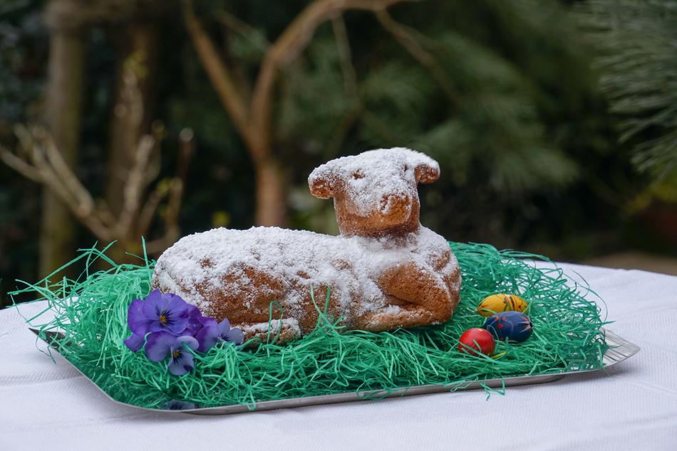 sheep as a easter cake