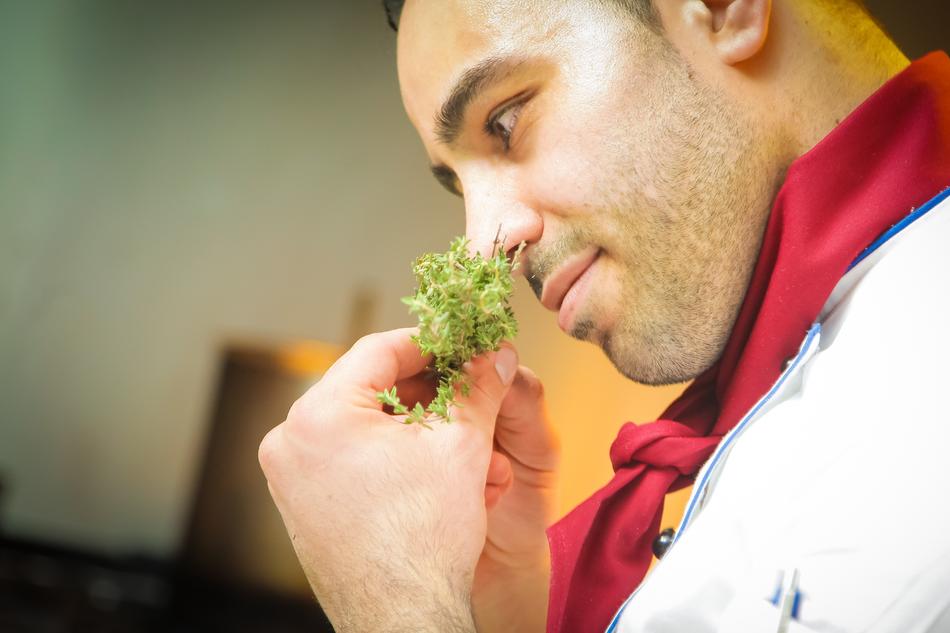 Chef Smell herb