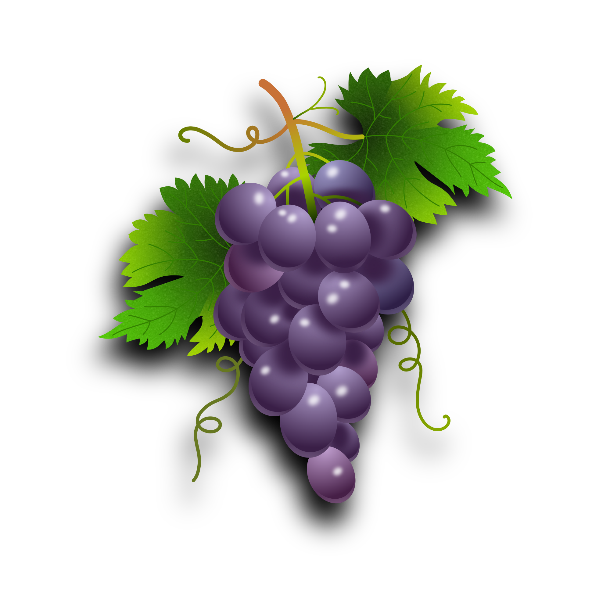 Виноград на прозрачном фоне. Гроздь Виноградная. Виноградная лоза. Кисть винограда. Фрукты виноград.