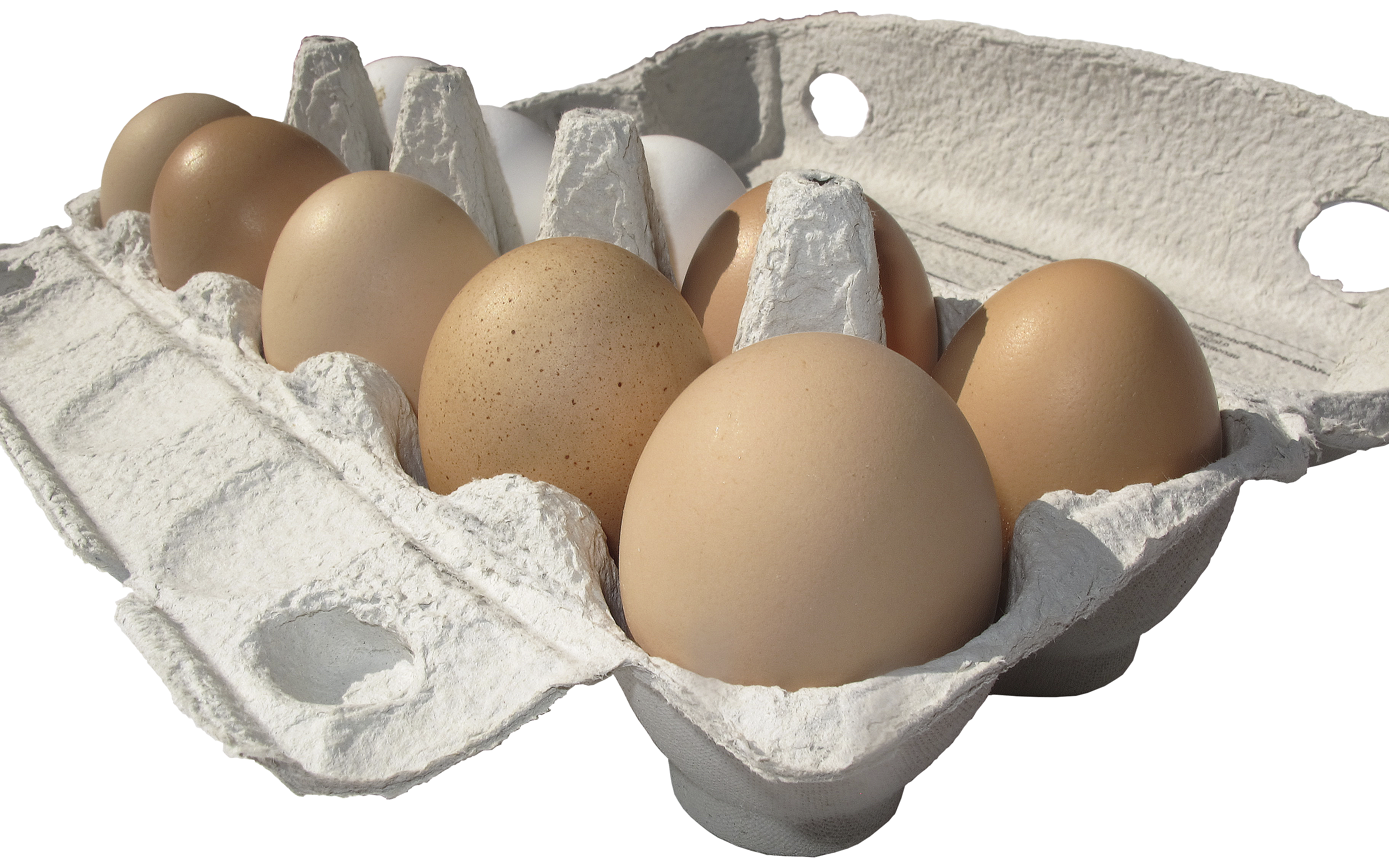 Яйцо куриное. Упаковка для яиц. Упаковка яиц и яичных продуктов. Куриное яйцо на прозрачном фоне. Продукты без яйца