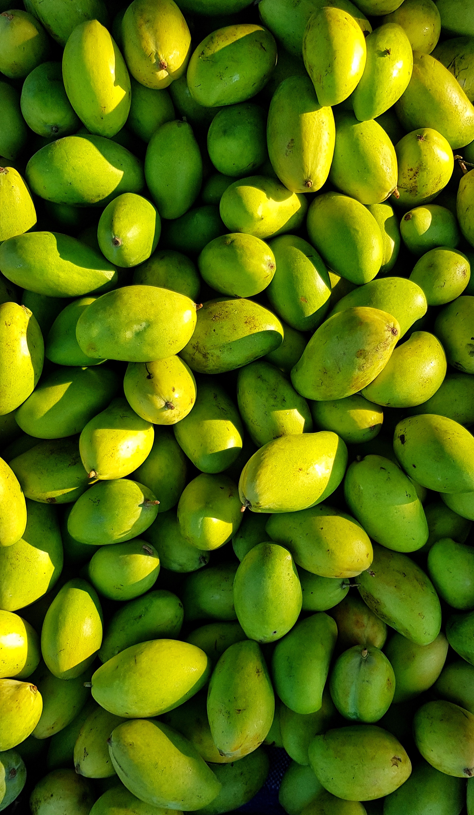 <b>Green</b> Fresh Picked image.