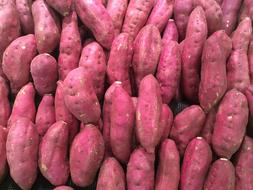 Sweet Potato Red Purple close-up