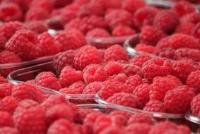 Raspberries Berries for sale close-up