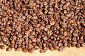 roasted Coffee Beans, background, border