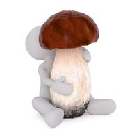 porcini mushroom as a 3d model