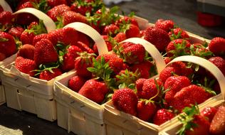 Strawberries in weaved baskets